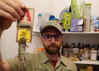 Milwaukee rodent trapping